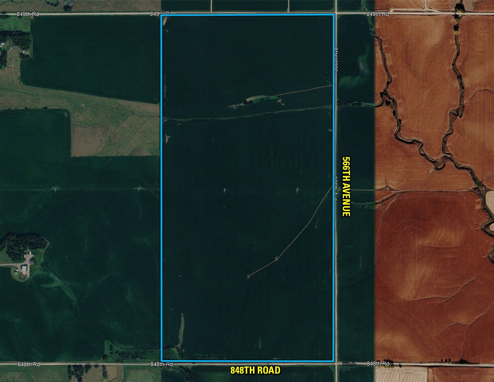 Listing Photo: Google Close